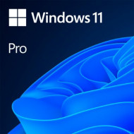 Licenta OEM Microsoft Windows 11 Pro, 64 bit, English